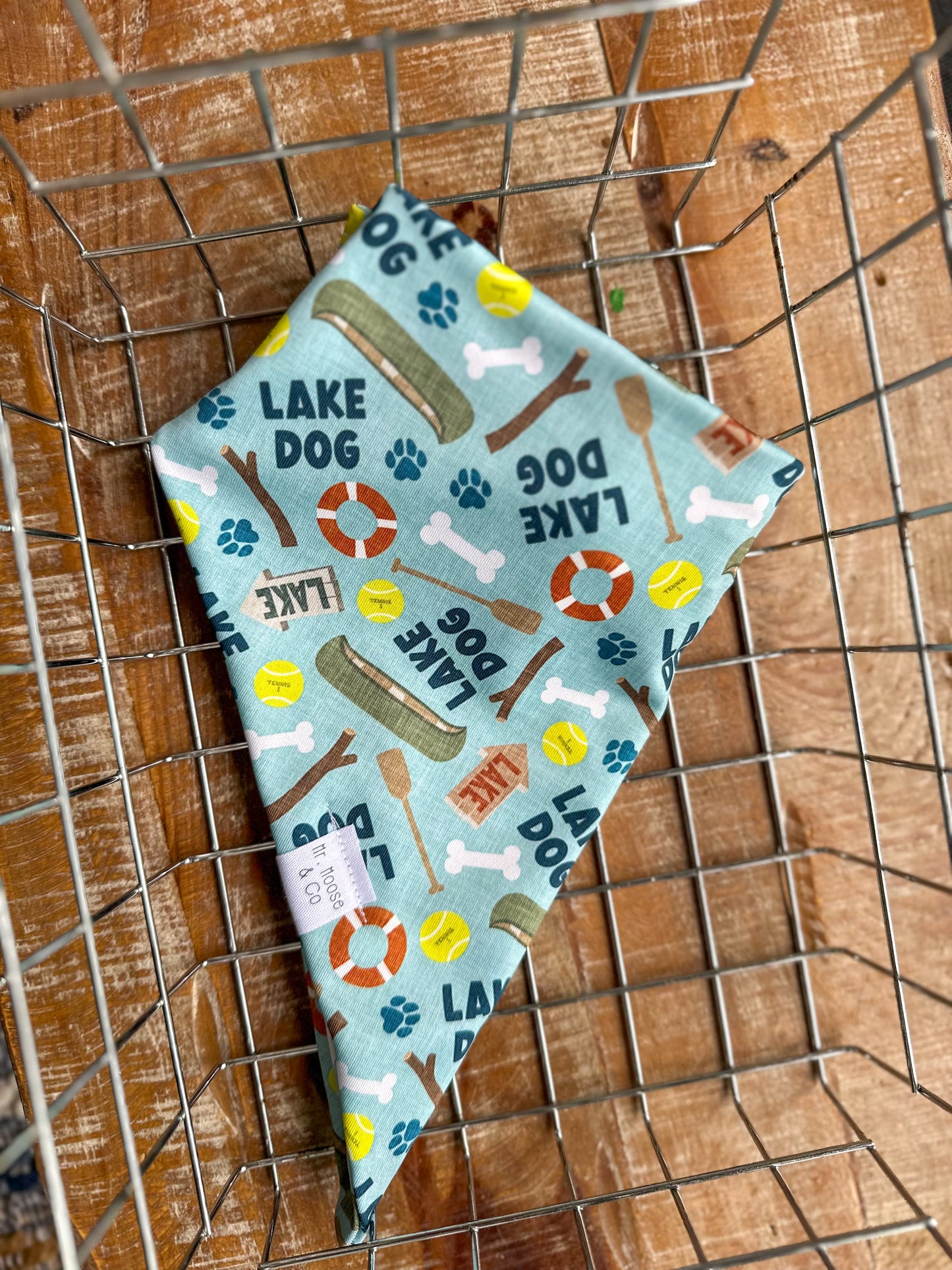 Lake Dog (SWIM)