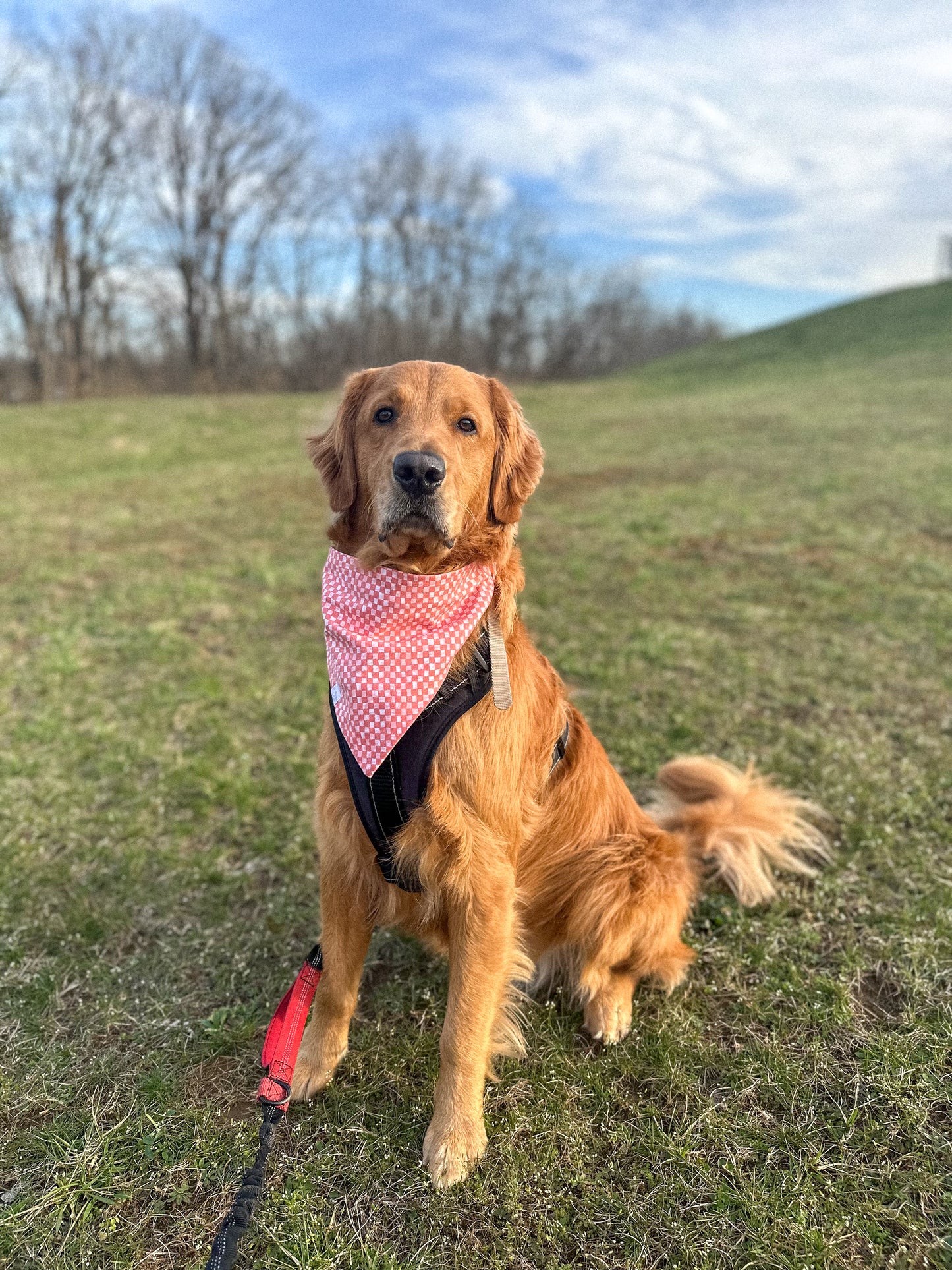 peachy plaid