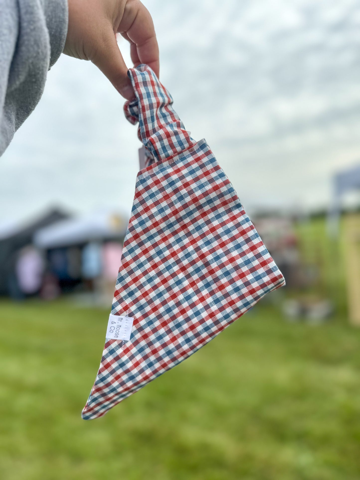 RWB Plaid