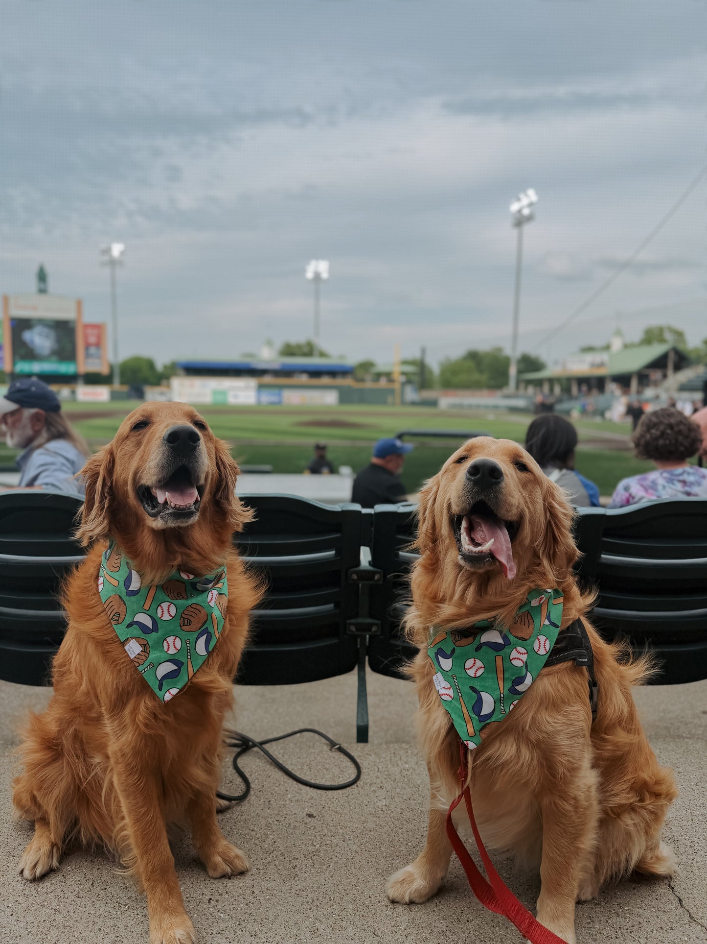 baseball