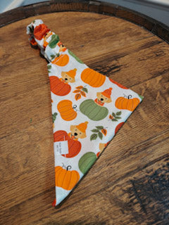 pupkin patch