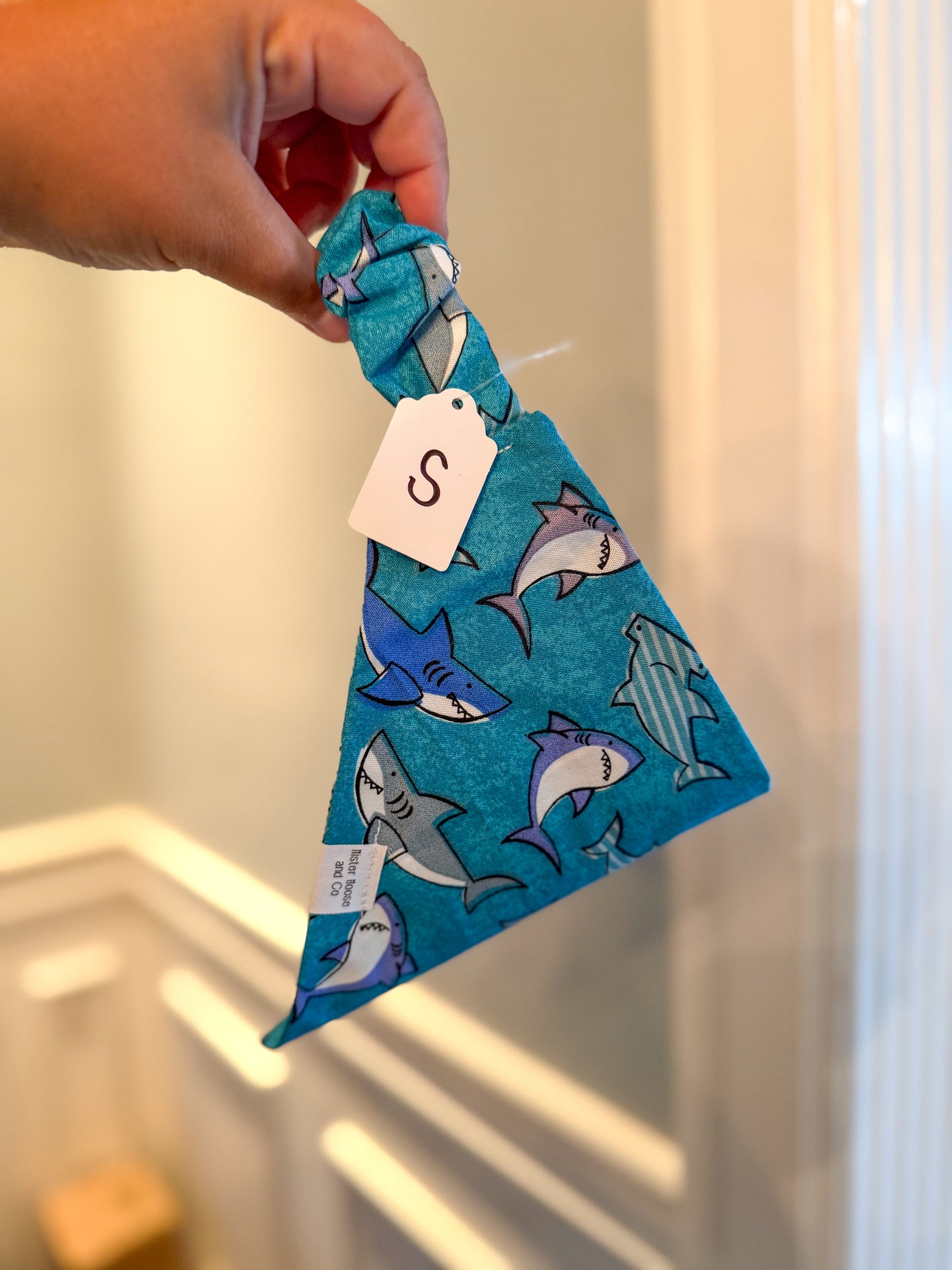 shark bait