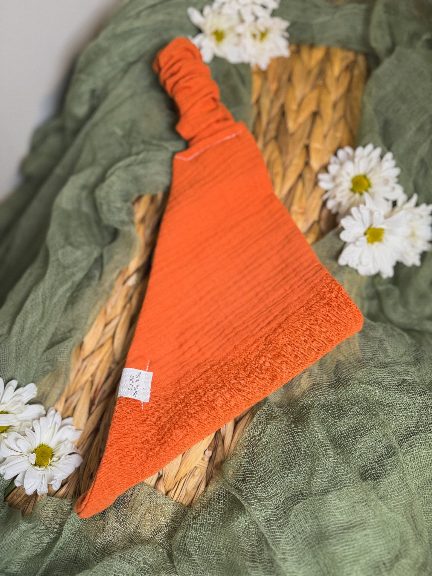 orange 🍊