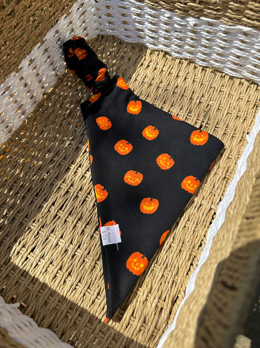 pumpkins on black